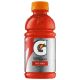 Gatorade - Fruit Punch